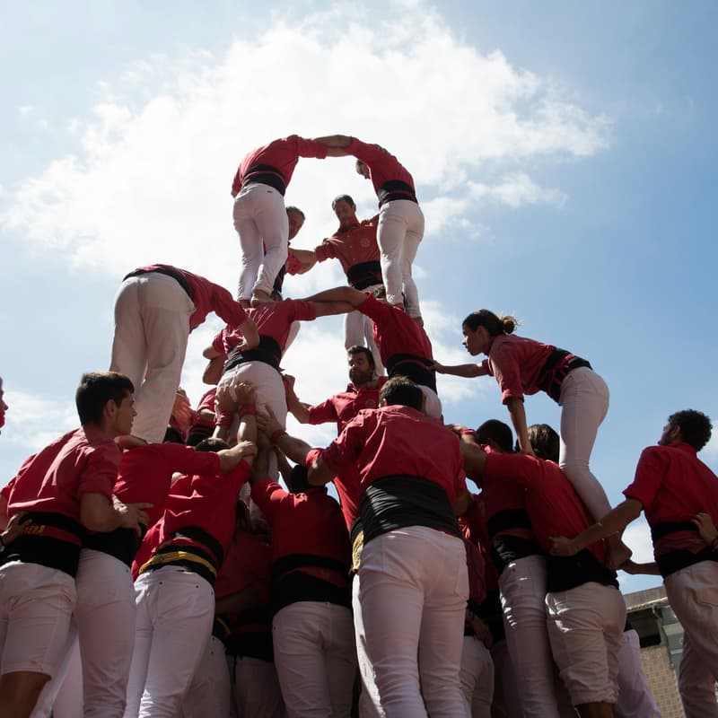Cover Image for Building Startup Teams That Win