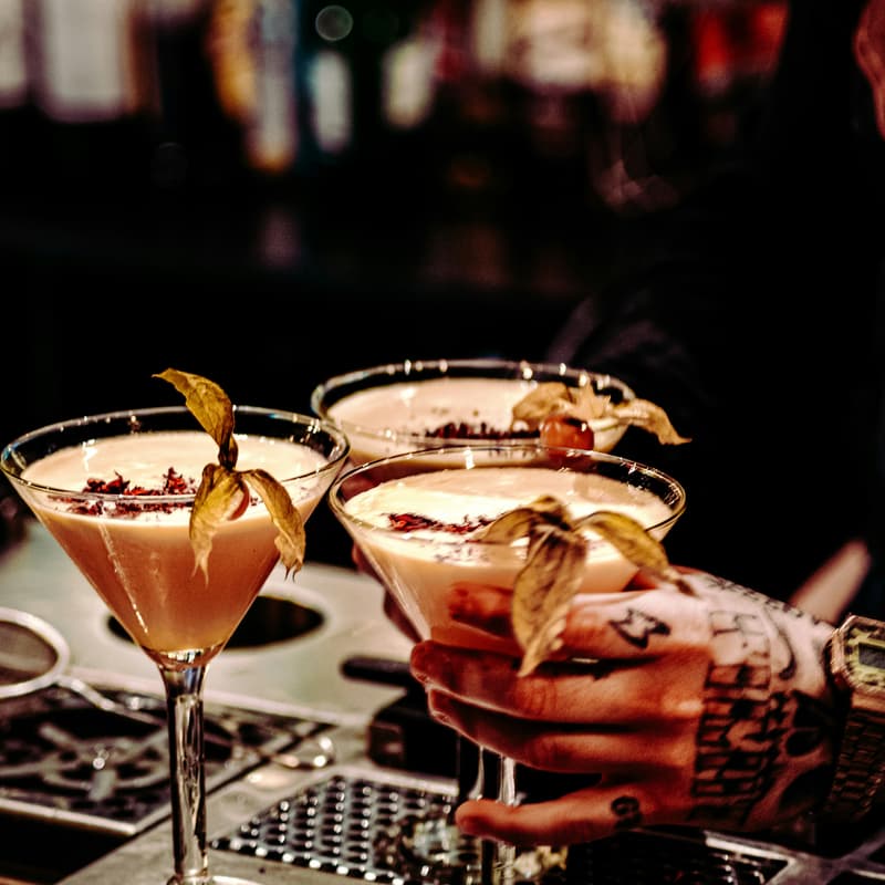 Cover Image for 🍸🍀✨💋Noche de IT Girls