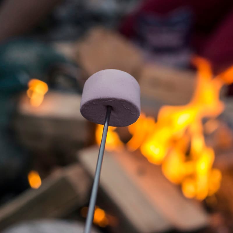 Cover Image for Cocoa & KAP Connections Bonfire: Santa Barbara
