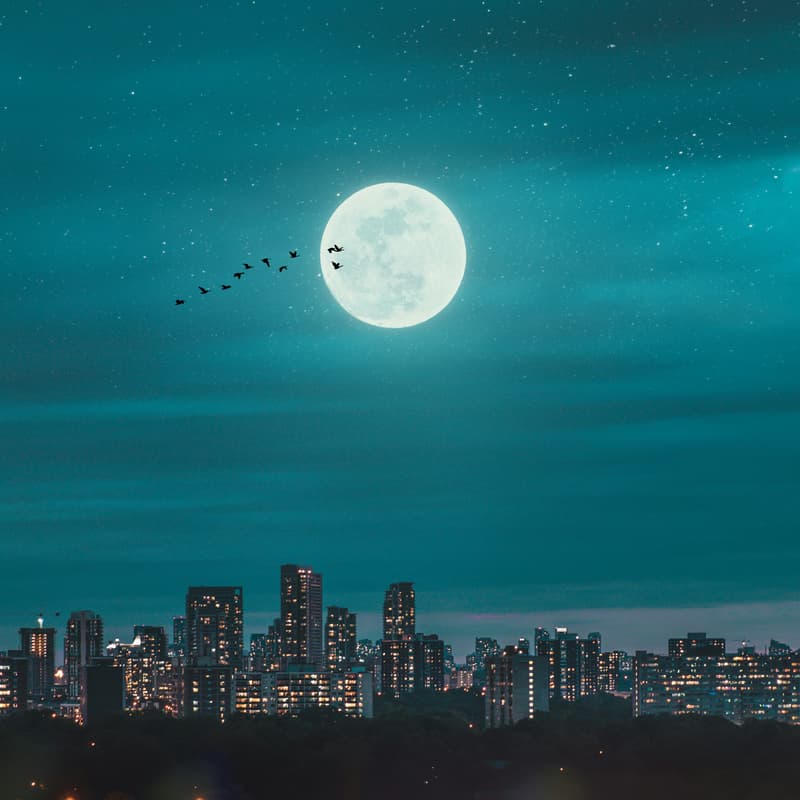 Cover Image for Full Moon Reset: Sound Bath & Meditation on Hästens beds
