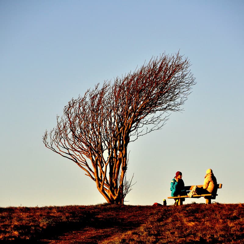 Cover Image for Fredagsbar - februar
