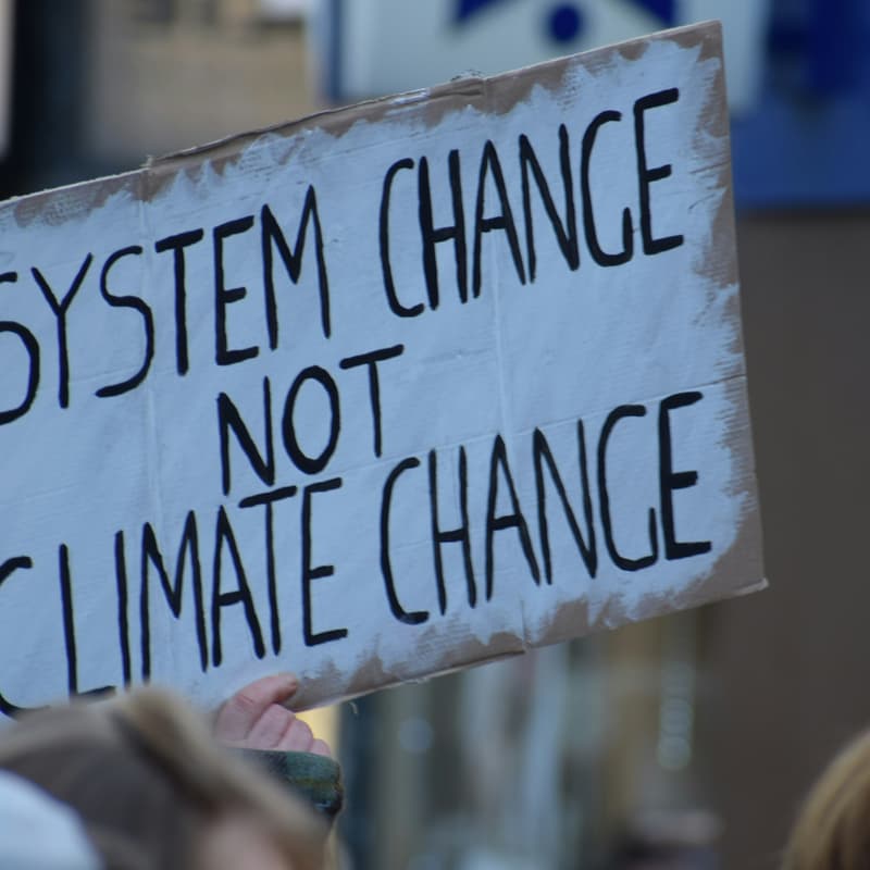 Cover Image for Big Climate Demonstration