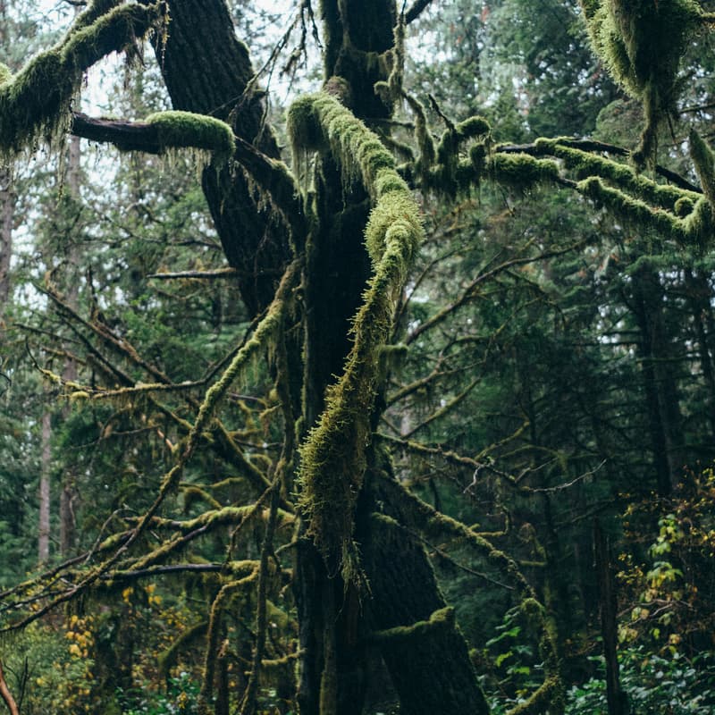 Cover Image for Warm Data Lab Cascadia in Vancouver