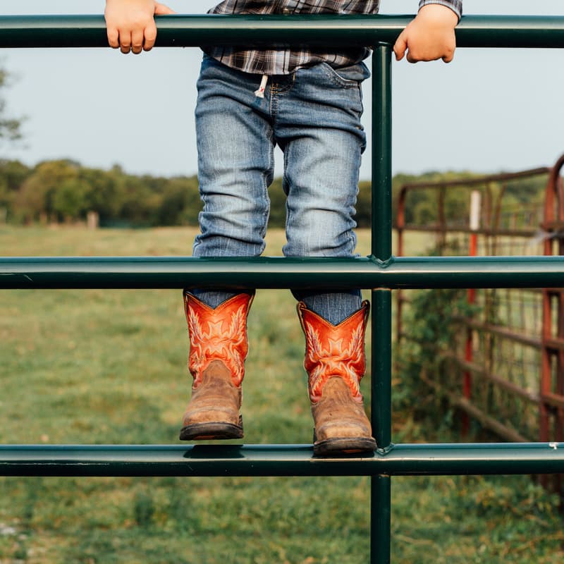 Cover Image for Boots & Roots: Line Dancing for the Climate 🌎