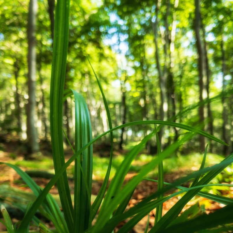 Cover Image for Agir pour le climat : Comment faire une vraie différence à notre niveau ?