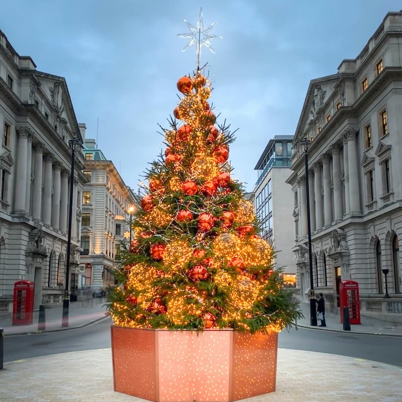 Cover Image for Slow Hearst Christmas Tree Lighting and Caroling