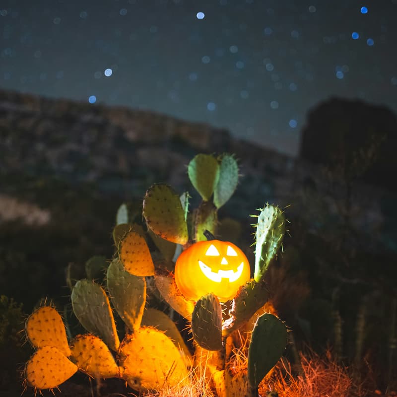 Cover Image for Convening with Spirits: Astro-Constellations with Renee Precopio x Christian Joy