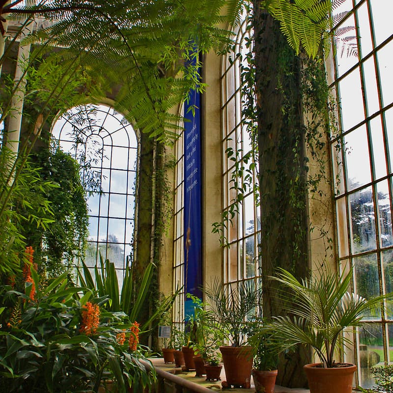 Cover Image for Botanic Sanctuary Lunch Presentation