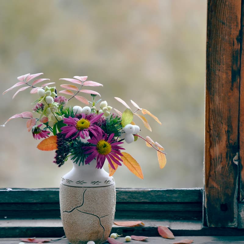 Cover Image for Bloom & Grow October
