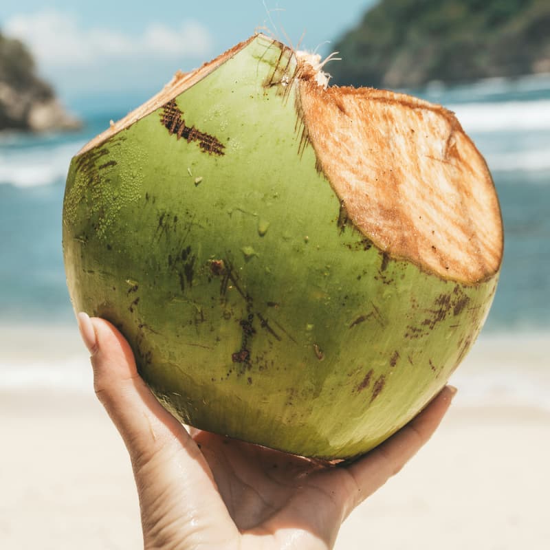Cover Image for PWNNC Coconut Pudding in Palo Alto