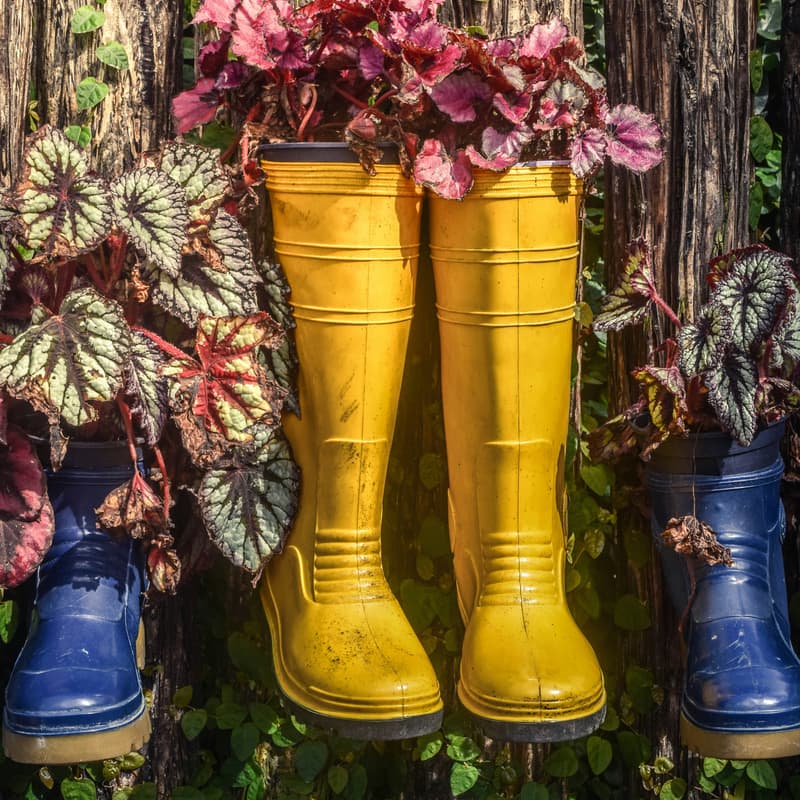 Cover Image for Spring Sustainability Festival: BIG SWAP