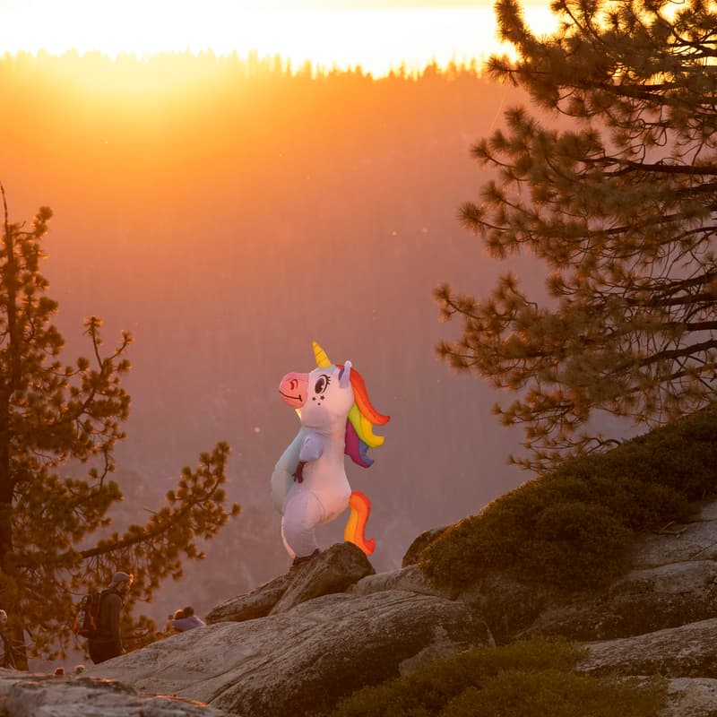 Cover Image for How To Catch A Unicorn