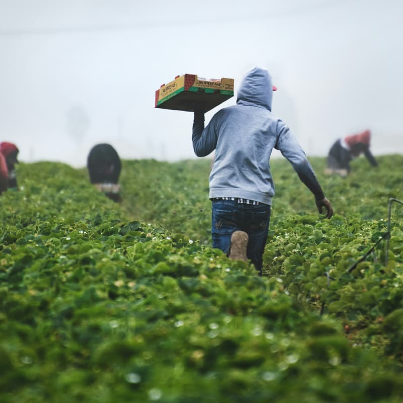 Cover Image for How to Engage Youth for Community-Based Food Systems Transformation