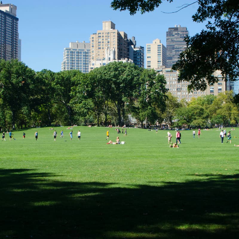 Cover Image for Guava in the Park - Prospect Park Founder Meetup
