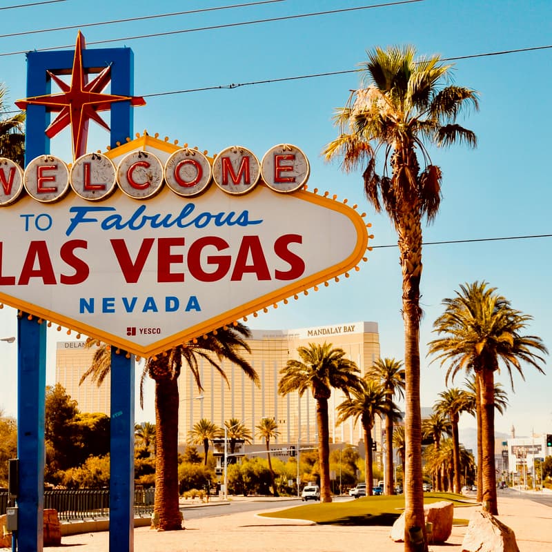 Cover Image for Alphas Connect, Las Vegas