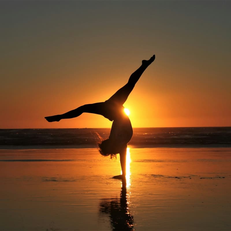 Cover Image for Project Sunrise Bay Area