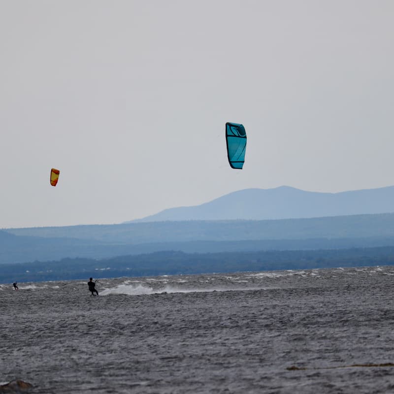 Cover Image for [Virtual] Sbur Vermont Chapter Launch