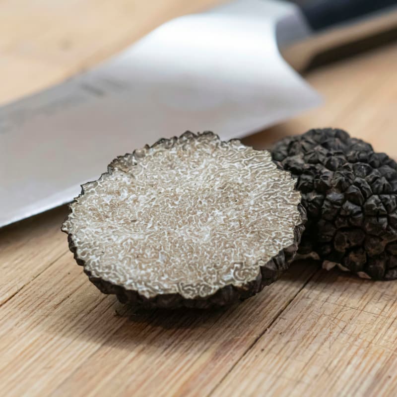 Cover Image for Truffles & the Carbon Underground: A Soil-First Solution to Climate and Agriculture
