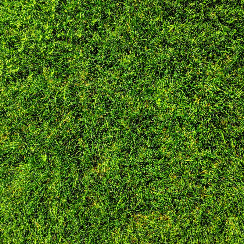 Cover Image for "Touch Grass" Keychain Making (Craft Session #2)