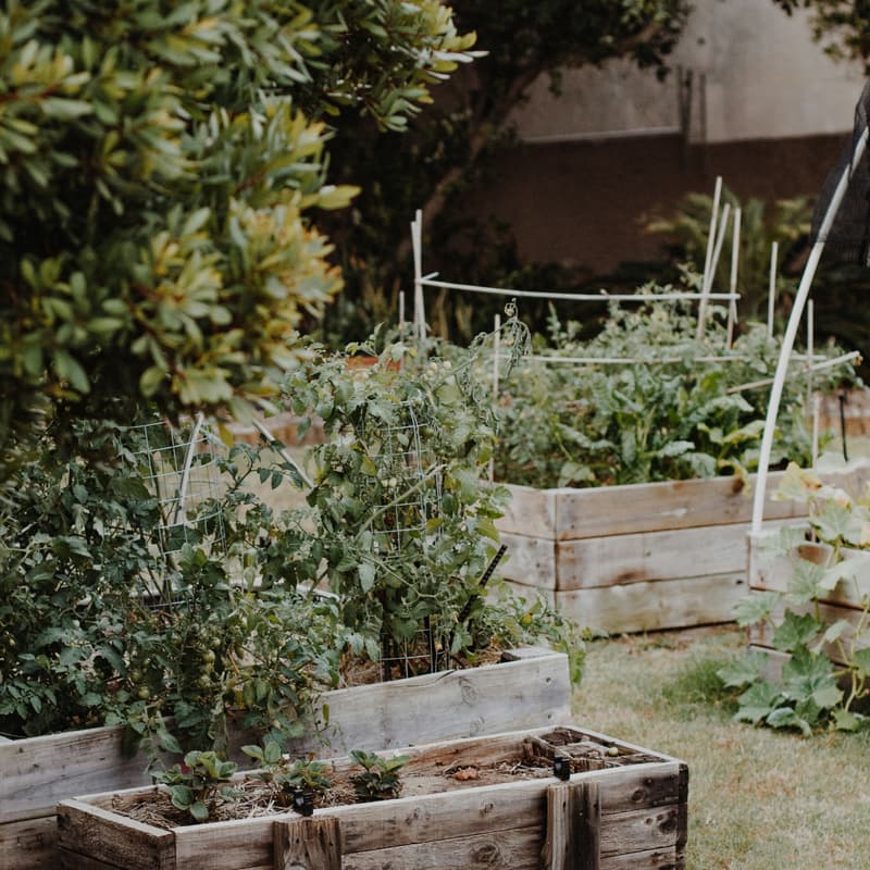Cover Image for East Lake Oakland Neighbor Potluck & Skill Share