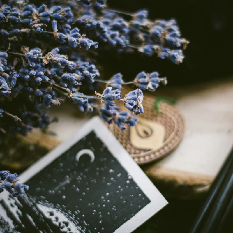 Cover Image for Witch Fest- Noche de Brujas