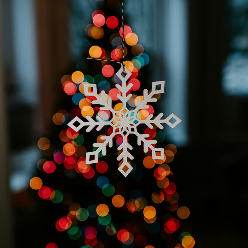 Cover Image for Holiday Tree Decorating Contest