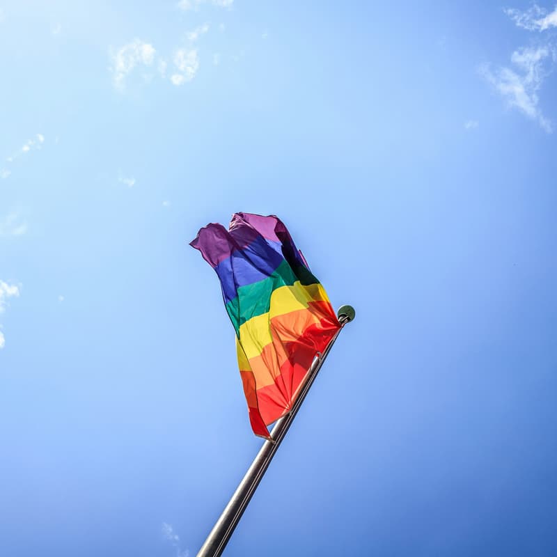 Cover Image for PrideNow: When LGBTQ+ Culture Became Everyone's Culture