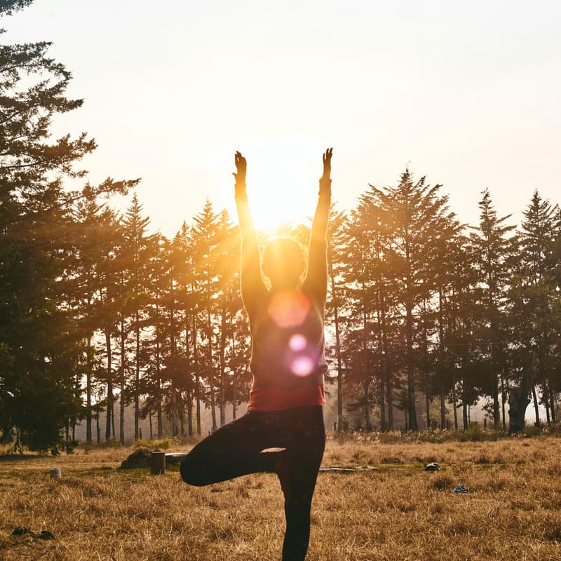 Cover Image for Yoga in High Park