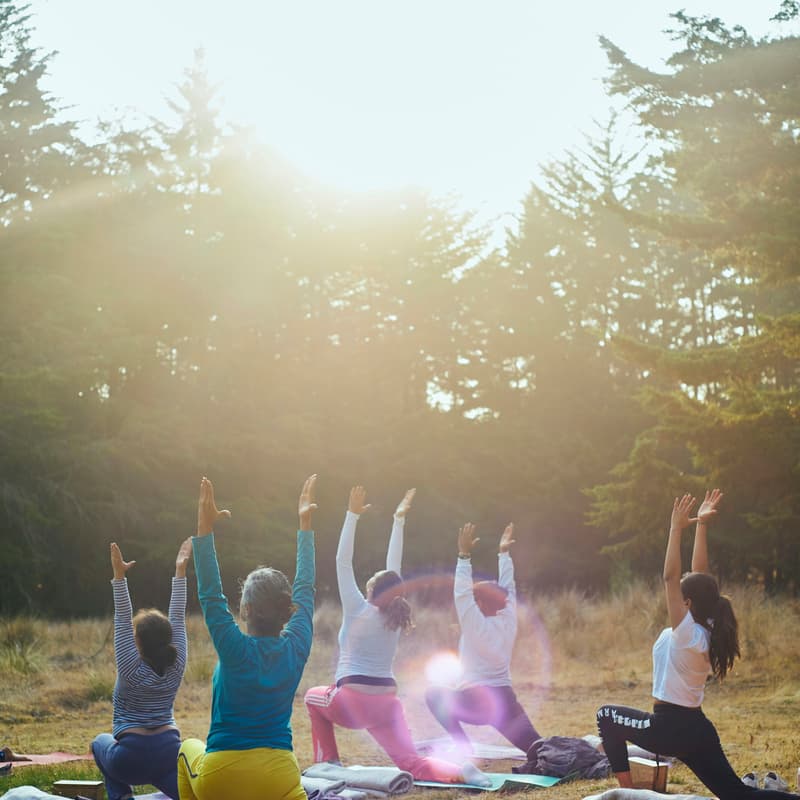 Cover Image for Free Yoga in the Park