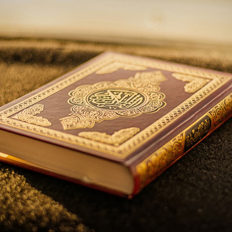 Cover Image for Arabic from the Beginning with Sister Rawda
