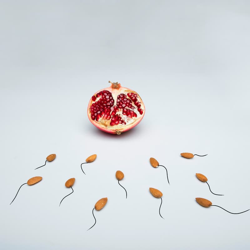 Cover Image for Fertility & essential oils