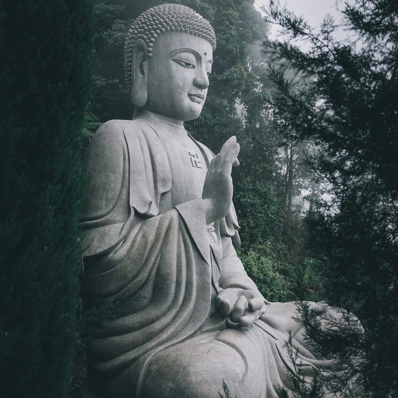 Cover Image for Flow with Breathwork