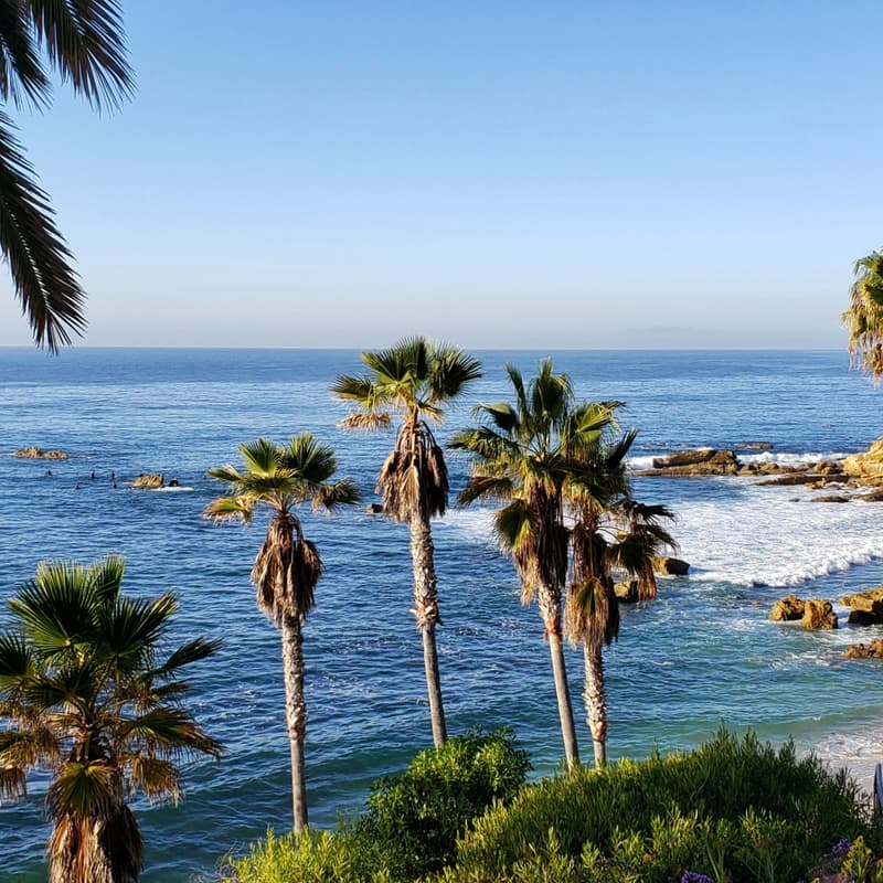 Cover Image for Summary of Earth Day Events in North County San Diego [Climatebase Fellowship]