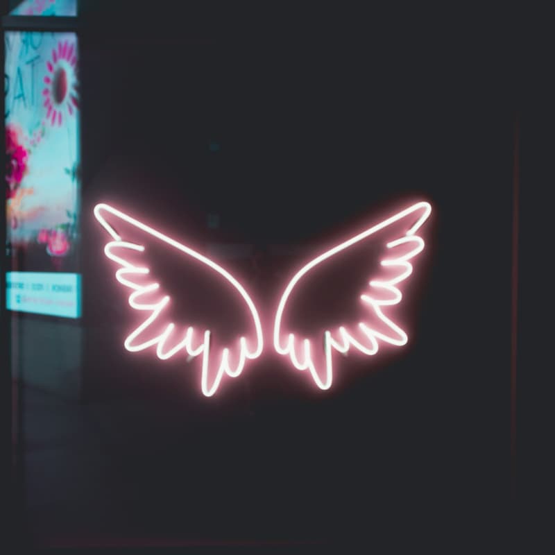 Cover Image for Everything Angel Pt 3: Raising - Everything you wanted to know but were too afraid to ask
