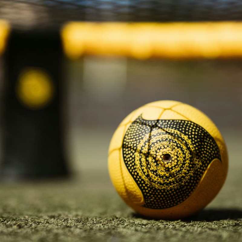 Cover Image for spikeball