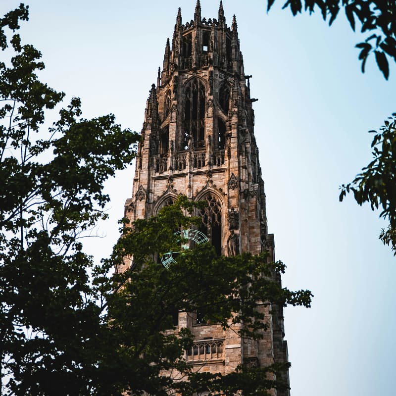 Cover Image for Yale Small Business Owners - October Meetup