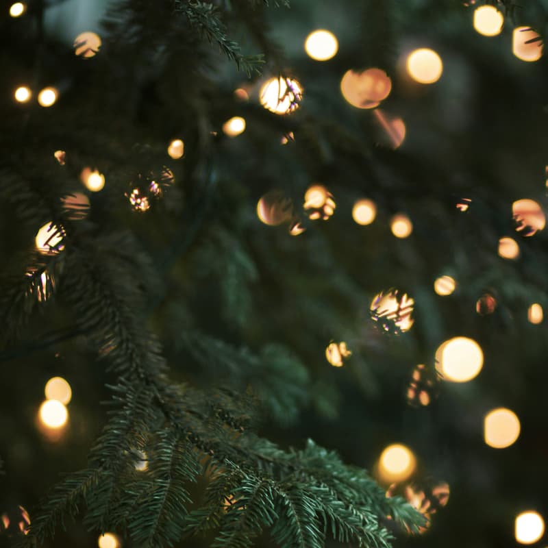 Cover Image for Tether’s Holiday Showcase