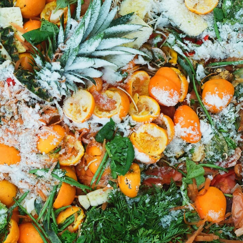 Cover Image for Food Waste to Watercolor Workshop