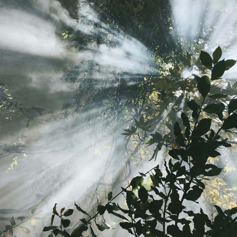 Cover Image for Tiwa/ Diwa / Jiwa: Nurturing the Spirit of Bioregional Regeneration in South East Asia