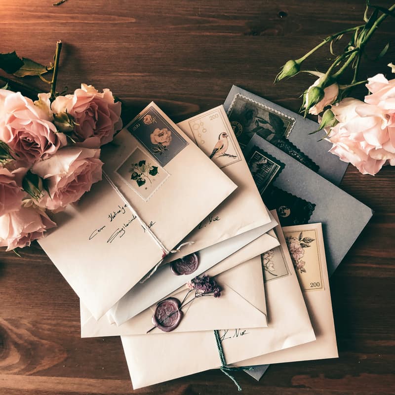 Cover Image for The Anatomy of a Love Letter