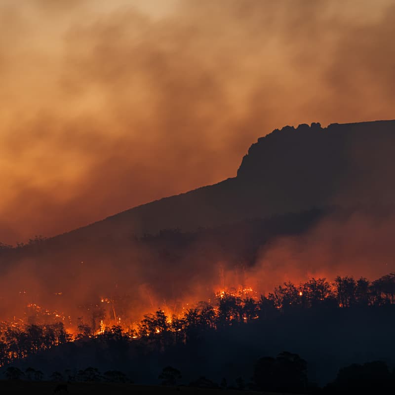 Cover Image for [Open Climate] Climate Insurance: Disaster Response, Resilience and What's next