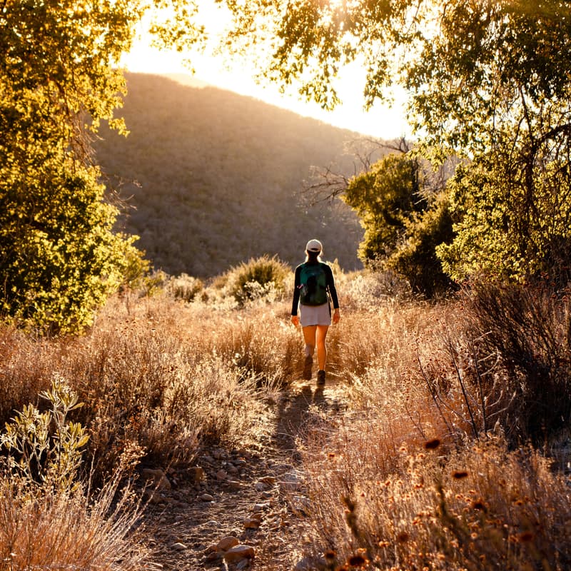 Cover Image for Barton Creek Greenbelt - Nature Hike and Hang!