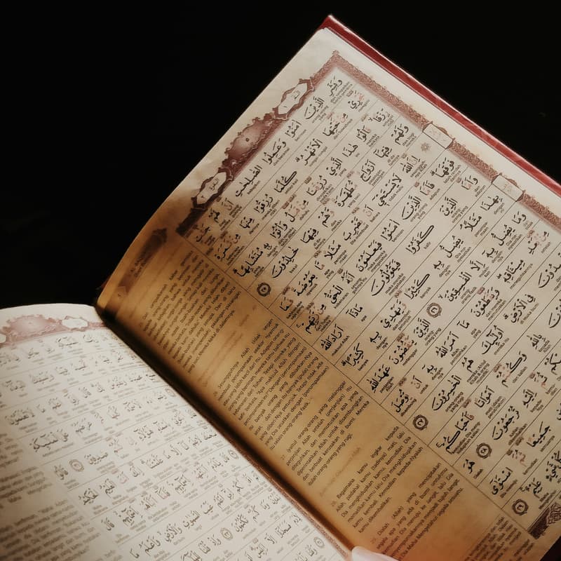 Cover Image for Brothers Tajweed Class