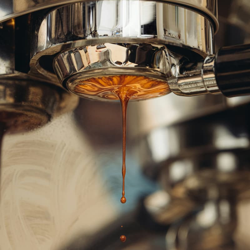 Cover Image for Barista Training at The Fold