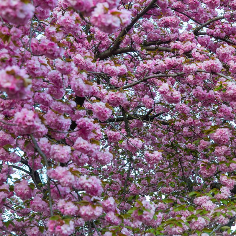 Cover Image for UES Community Springtime Crafternoon