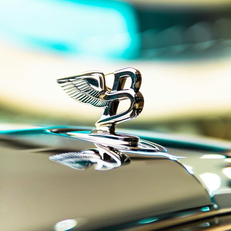 Cover Image for An Afternoon with Bentley