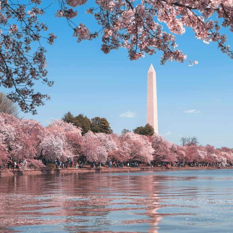 Cover Image for Investor Dinner – Washington, D.C.: Hosted by VU Venture Partners & Venture University