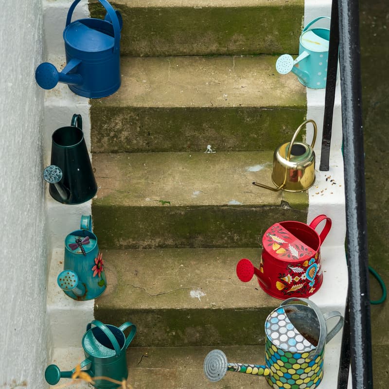 Cover Image for Secret Stairways Stroll (Inner World Exploration Series)