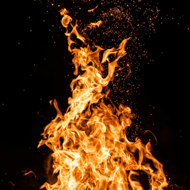 Cover Image for Pipeline on Fire: Enero Edition ~ Division Latinos