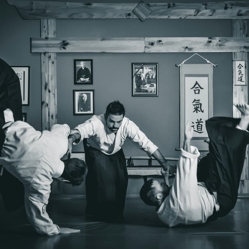 Cover Image for Aikido